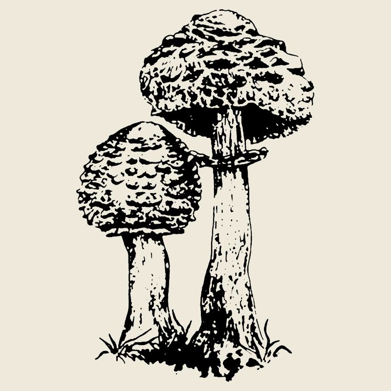 ACCUMULATEUR CHAMPIGNON