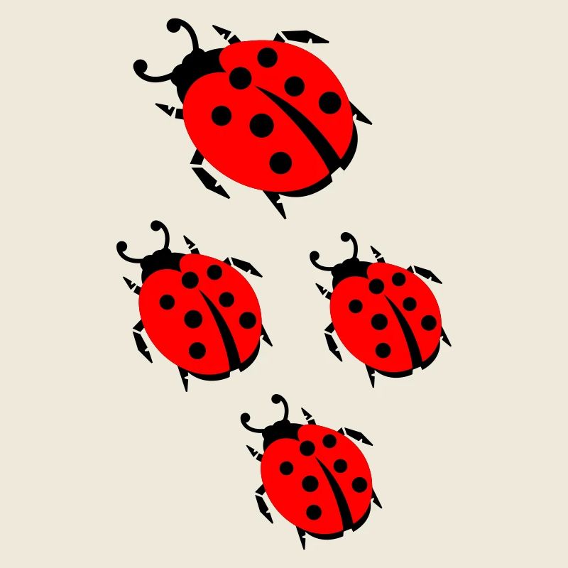 ladybug marienkaefer
