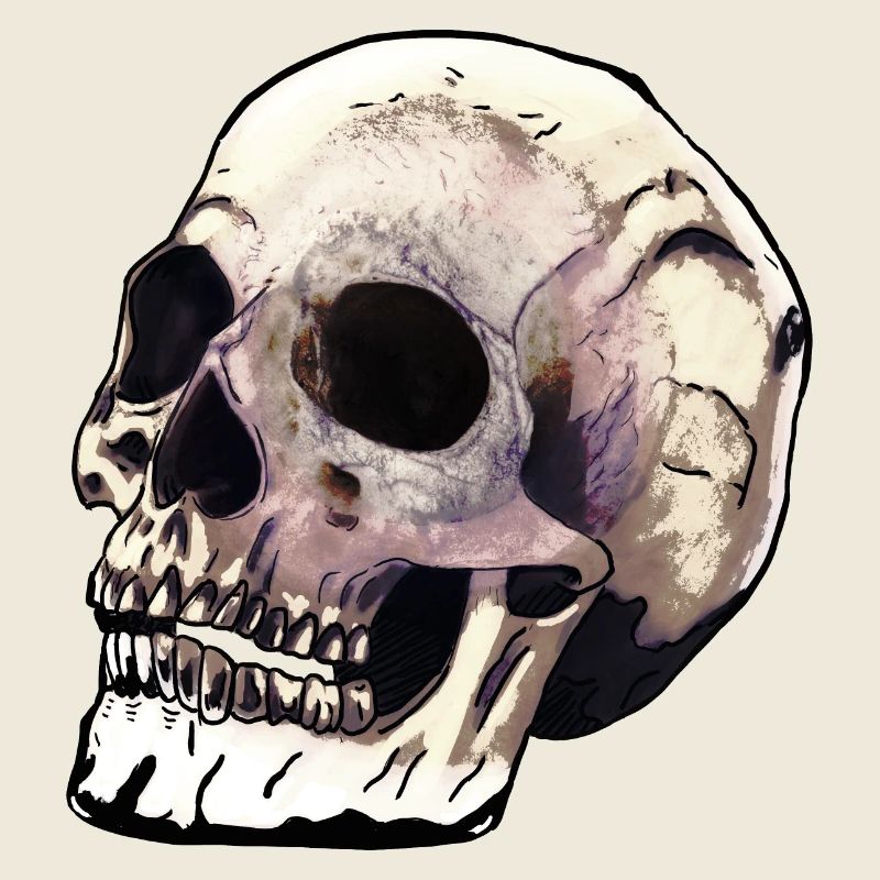 Skull Dimension