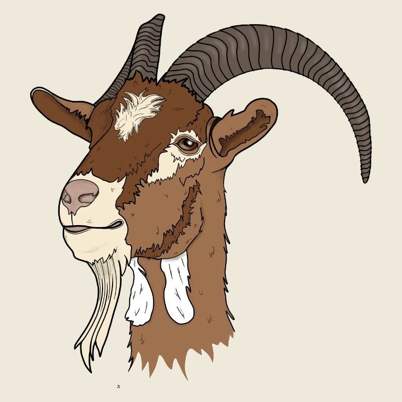 Capra
