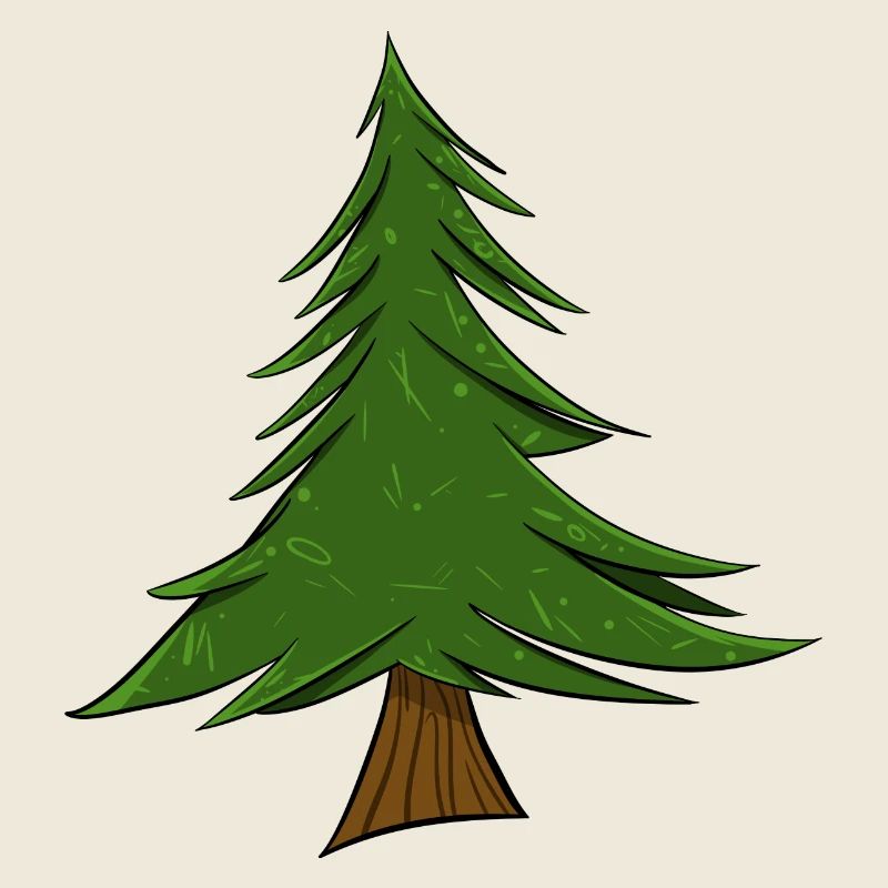 Tanne | Tannenbaum | Pine Tree