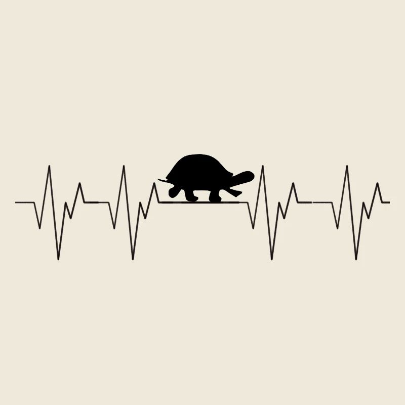 Turtle Heartbeat Heartbreak dear