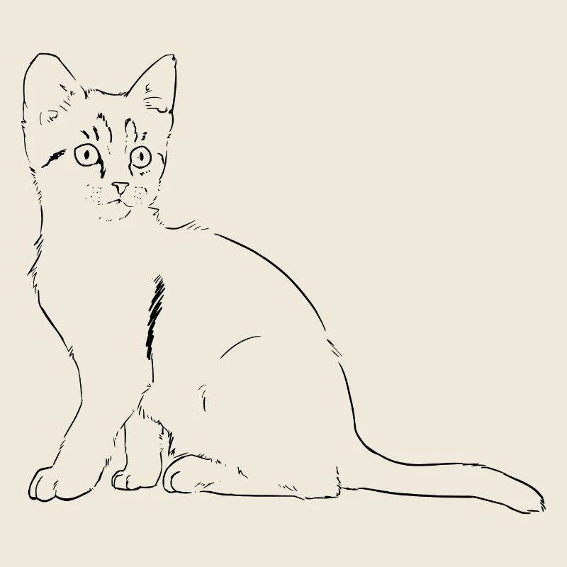 Cat illustration