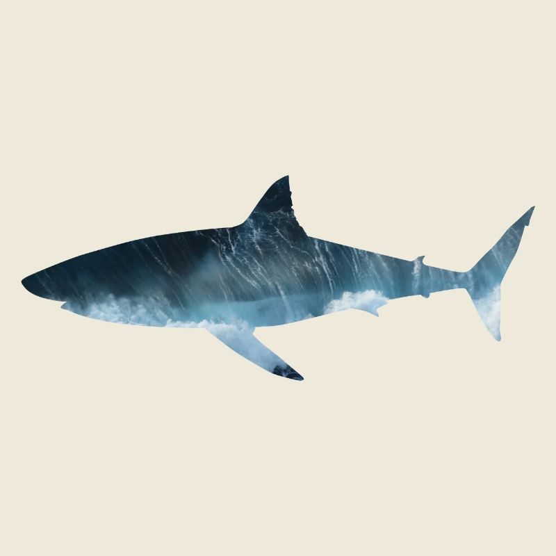 Great White Shark