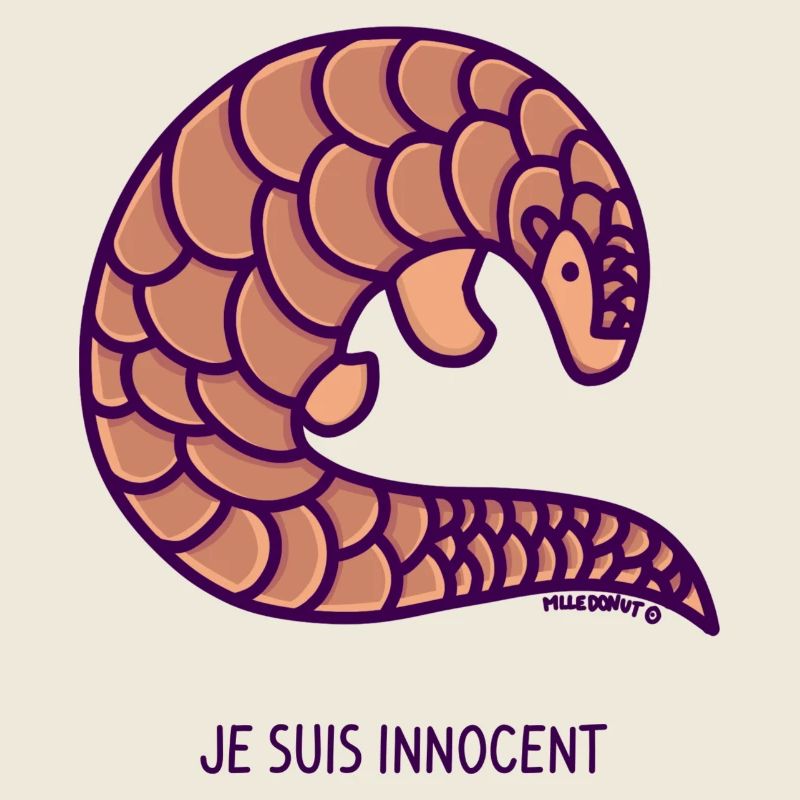 Pagolin - I'm Innocent