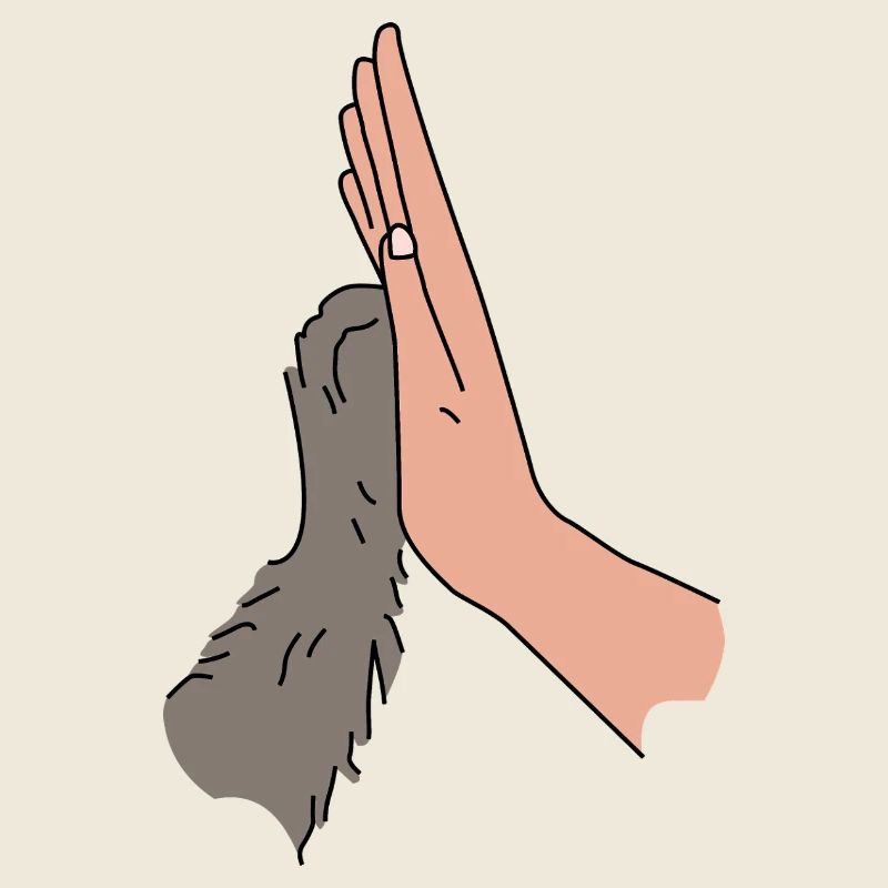 High Five Pfötchen - Beste Freunde Tierliebe