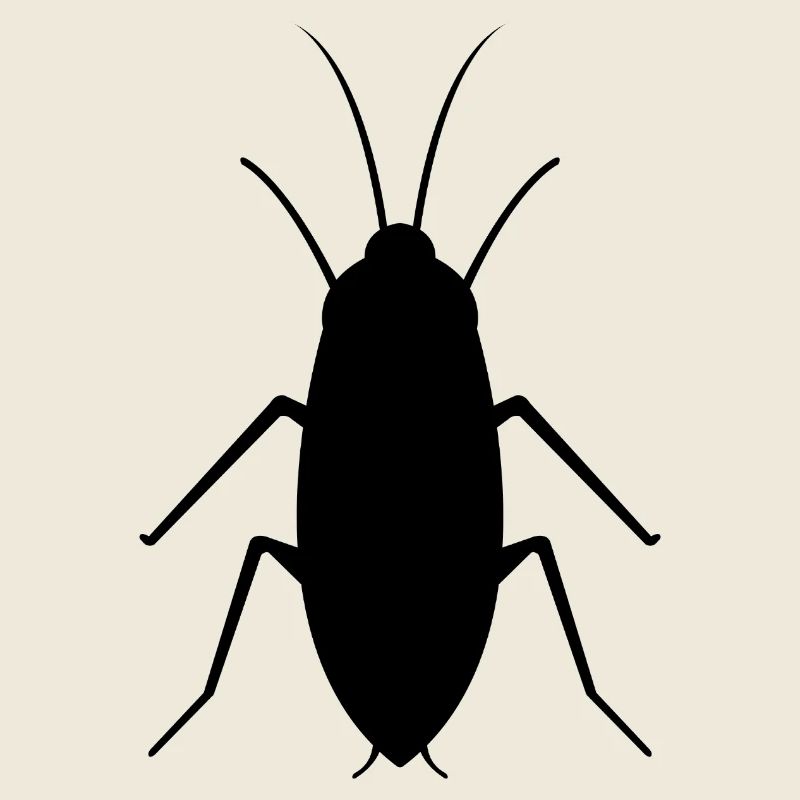 cockroach