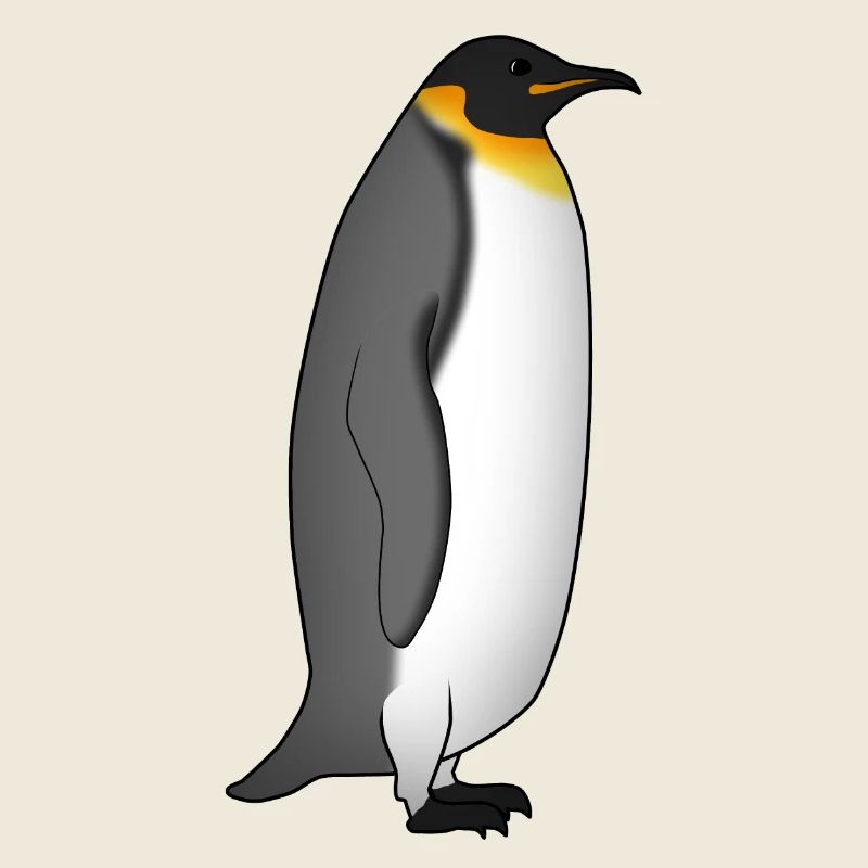 Emperor Penguin stands