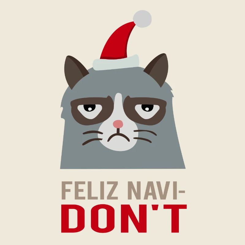 Feliz Navi DON'T / Weihnachtslied