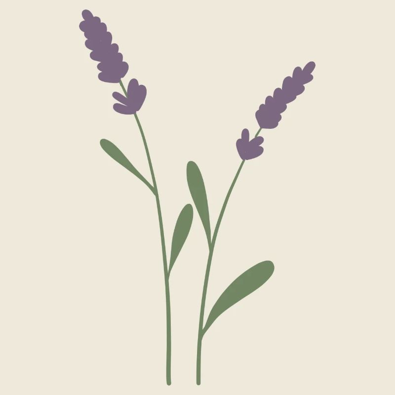 Lavendel