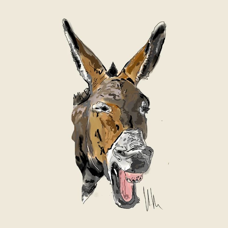 Donkey