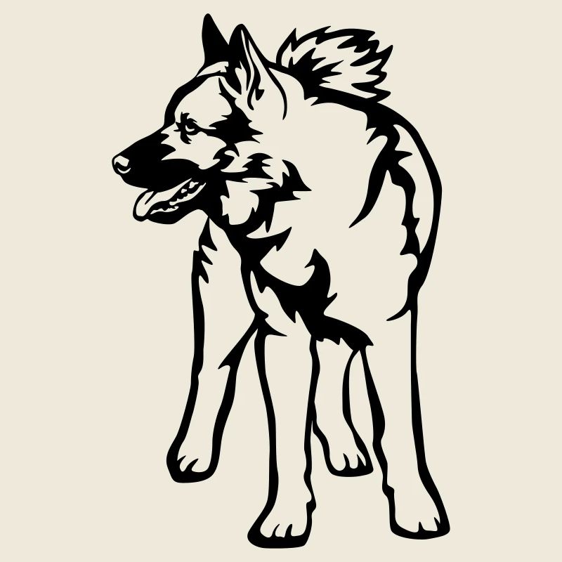 Norwegischer Elchhund