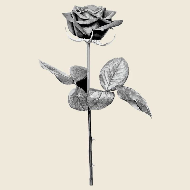 Rose en Noir - Blanc