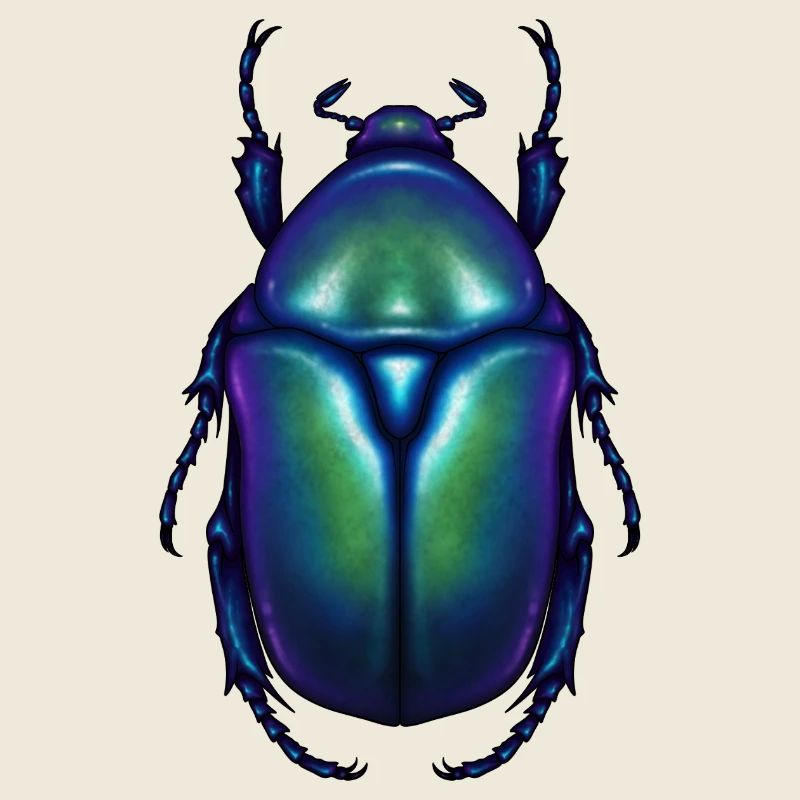 Blue Flowerbeetle