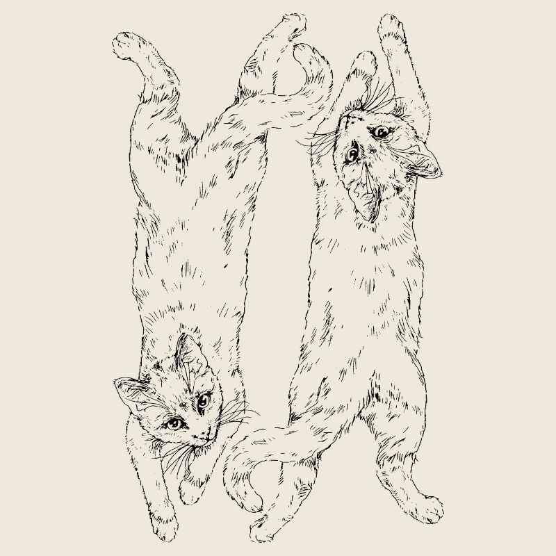 Katzen