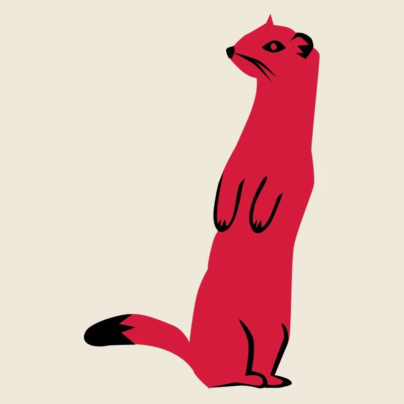 Weasel - Ermine