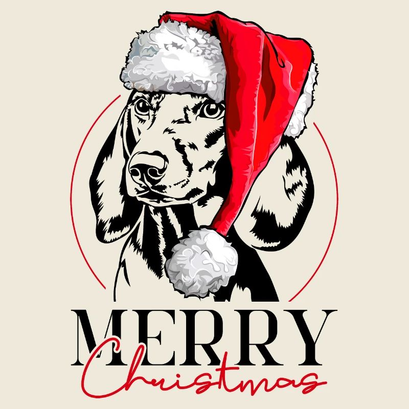 Père Noël Teckel Teckel Joyeux Noël Chiens Wilsigns