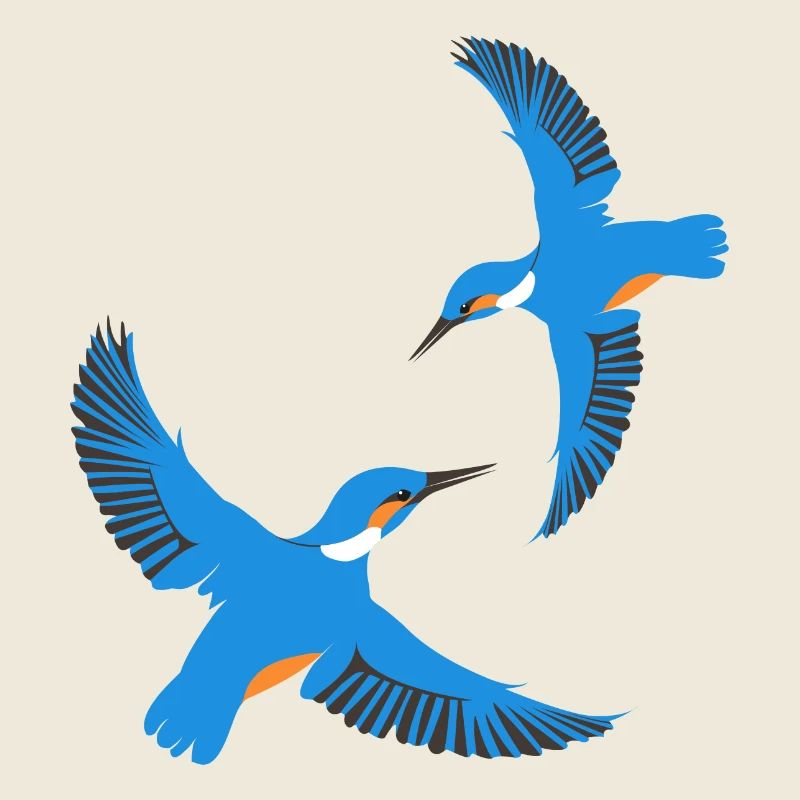 eisvogel_flug2-01.png