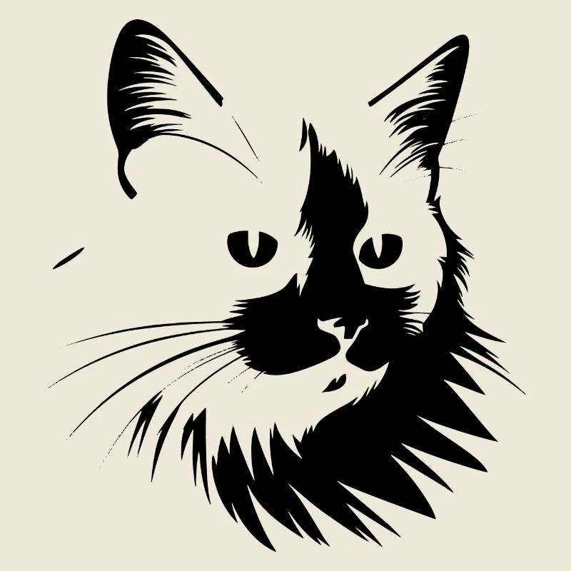 Chat, Motif De Chat