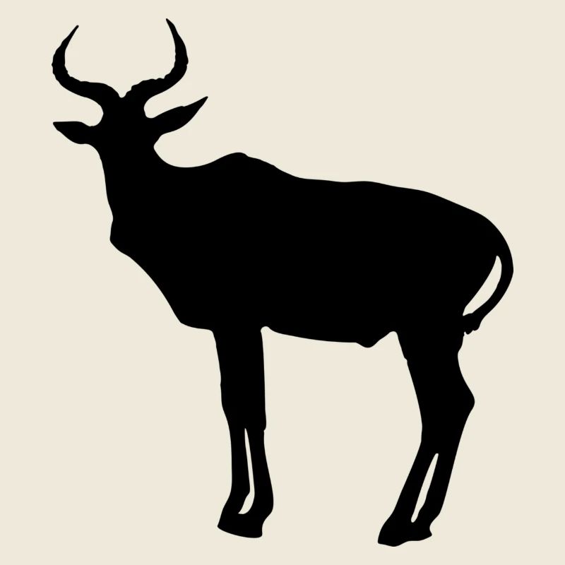 antilope