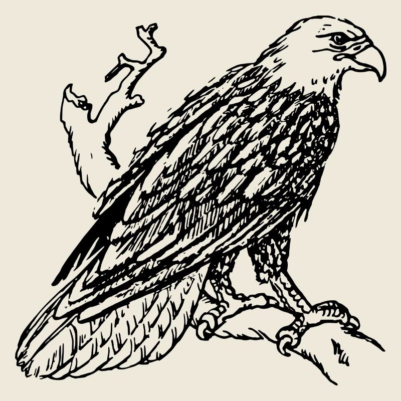 eagle190