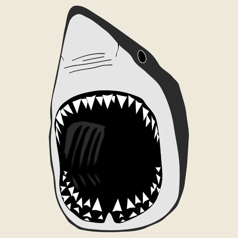 grand requin blanc squale poisson plongée