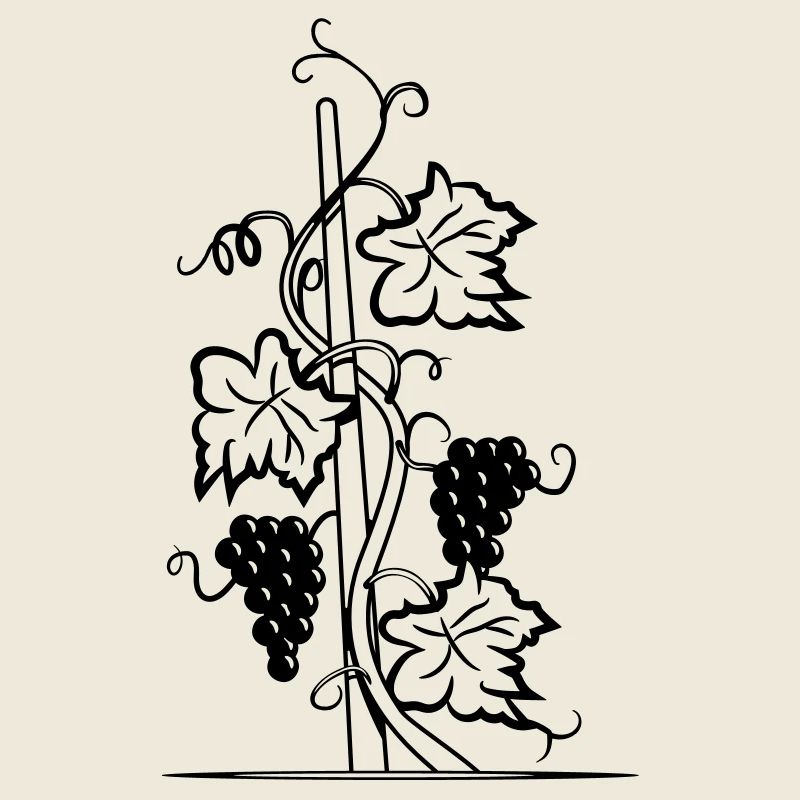 vigne vin lune nuit