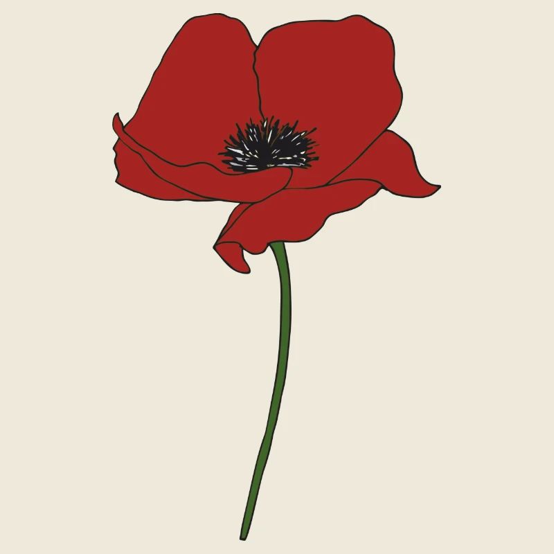mohnblume