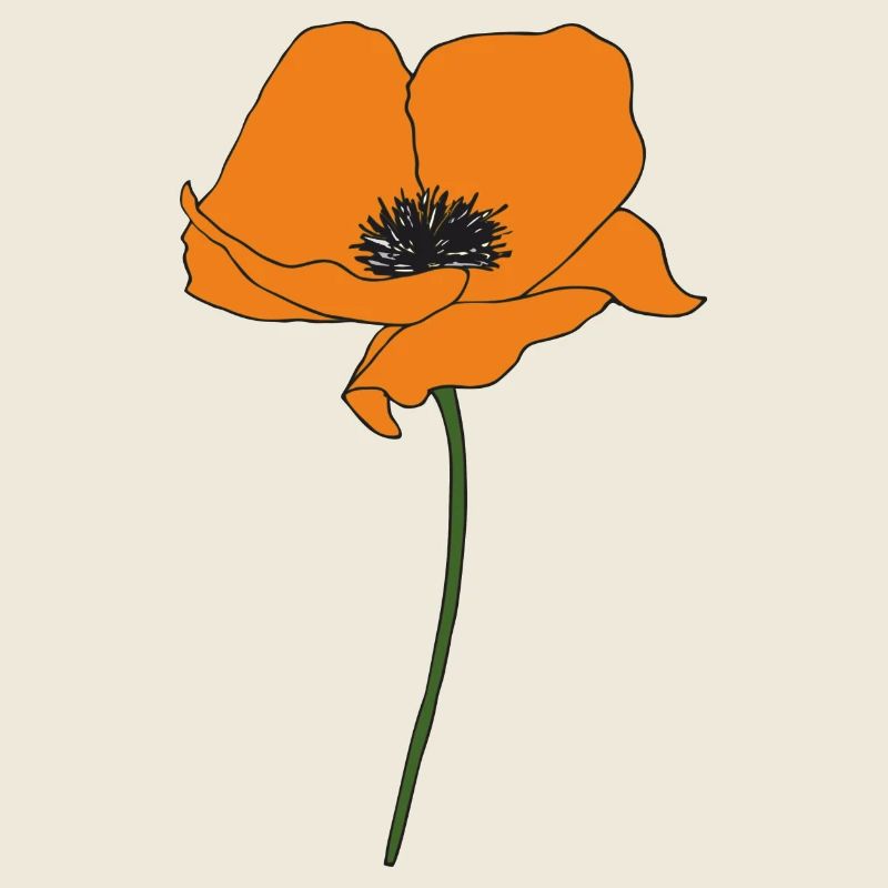 mohnblume orange