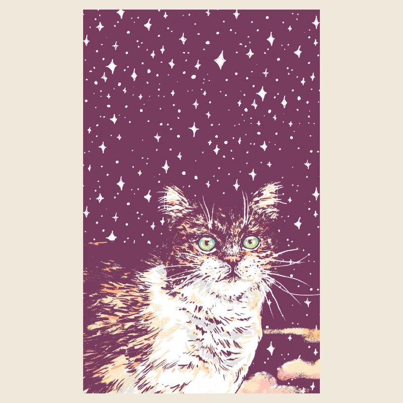 STAR KITTY