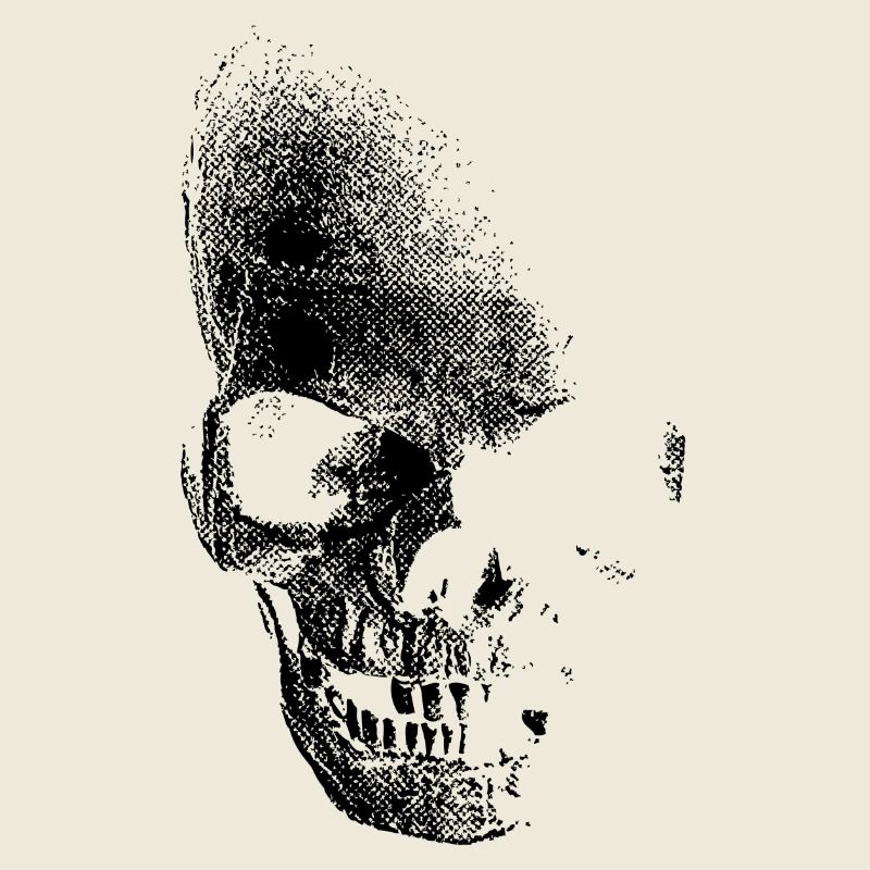 skull totenkopf pirat