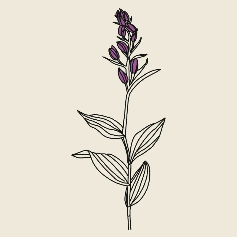 Blume Waldvögelein