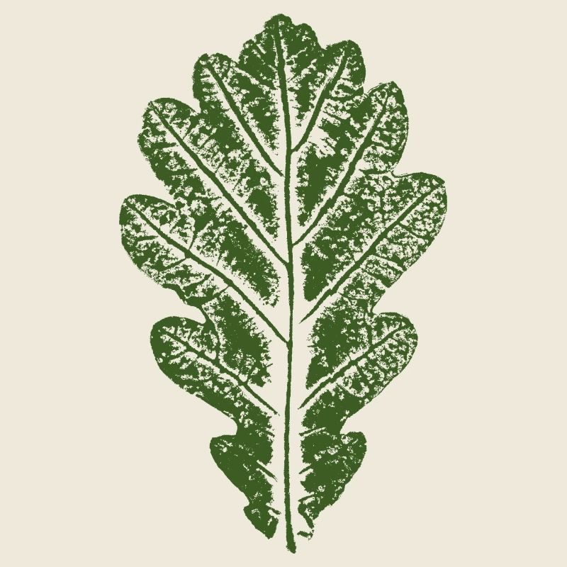Feuille de chêne / Feuilles Design