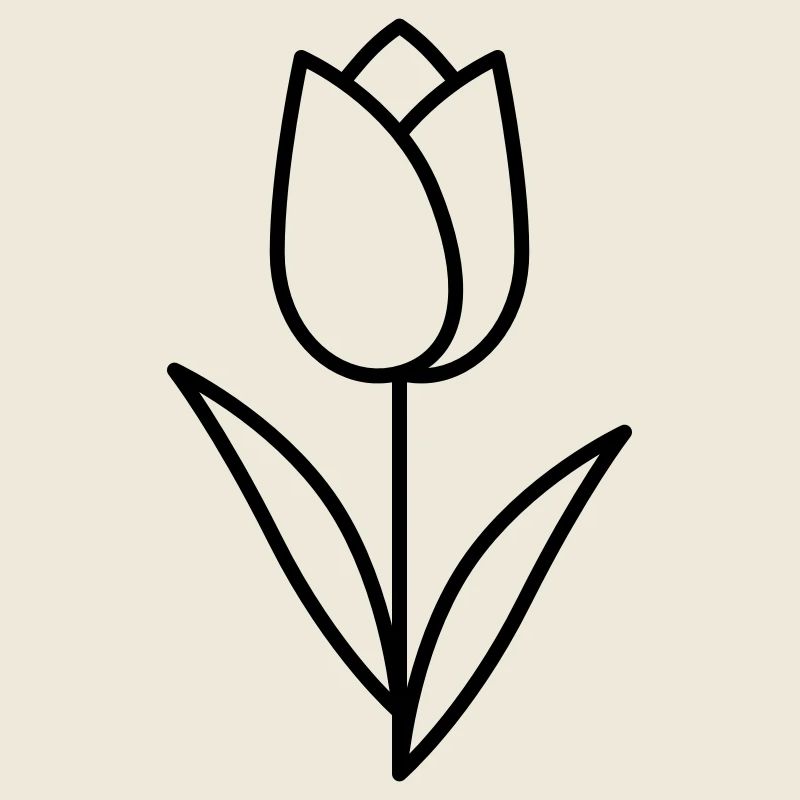 Tulipe