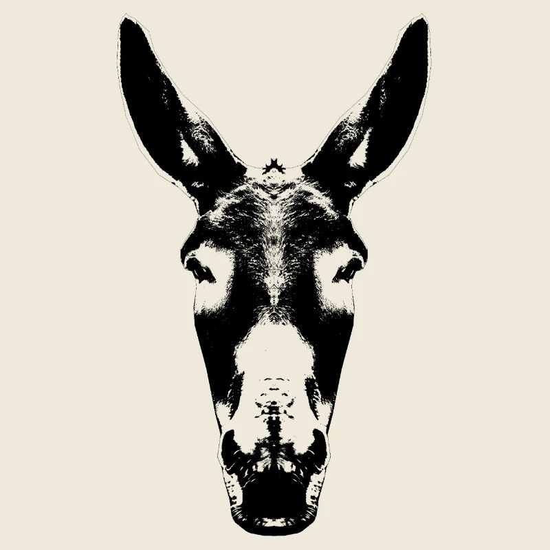 Âne / Tête / Mule / Tête