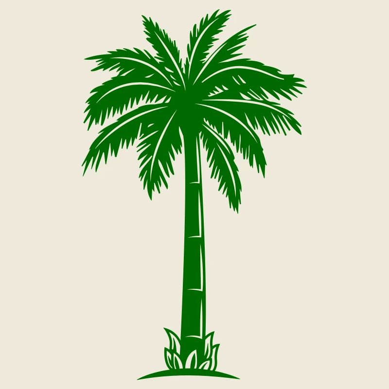 Silhouette de palmier