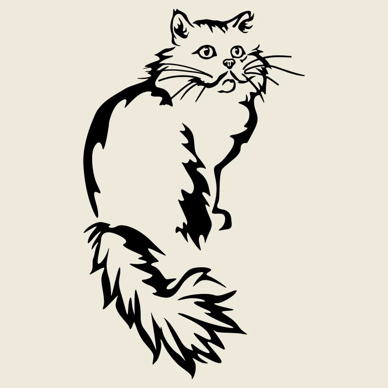 Perser - Perserkatze