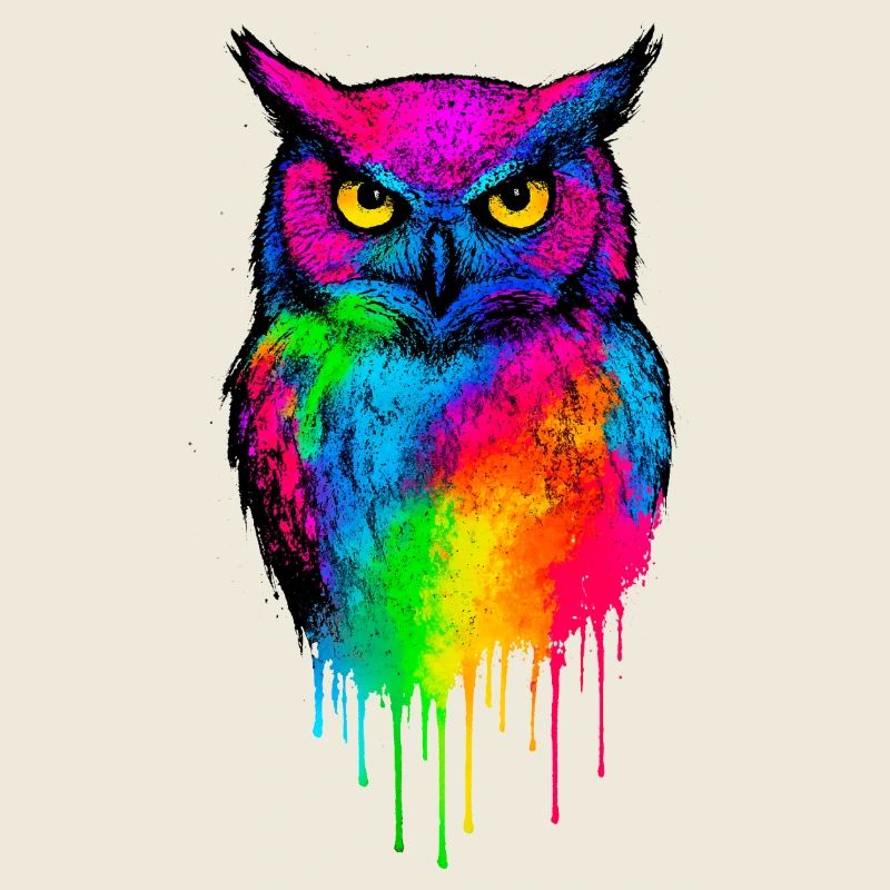 Bright Color Owl Art