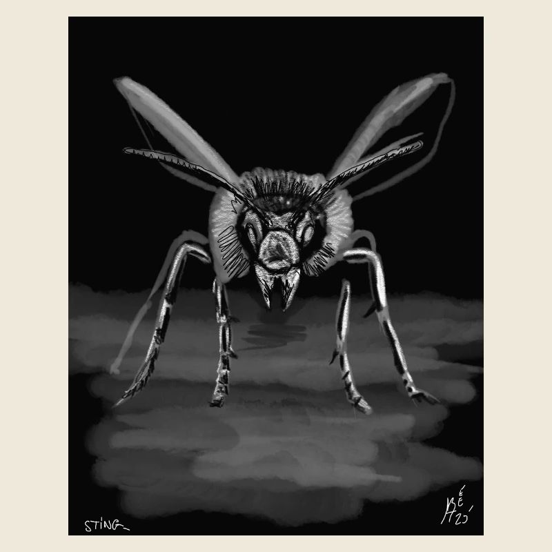 Midnight Stinger Mono Bee