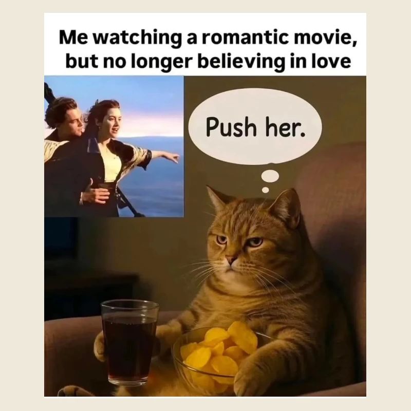 Cat Meme Push Romance