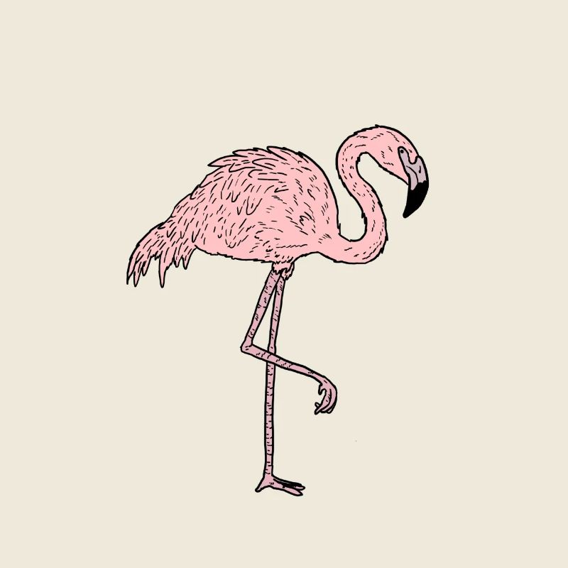 Flamingo - Comic Style