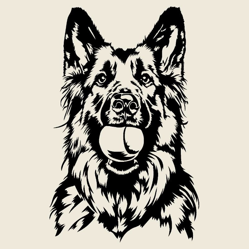 German Longhaired German Shepherd Dogs Wilsigns