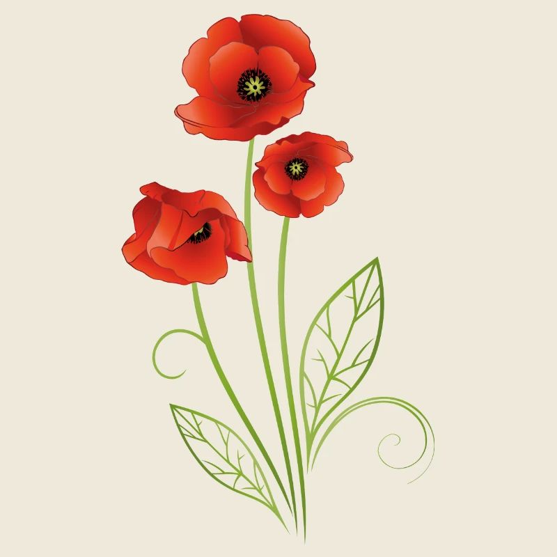 Summer Flower. Red Poppies Flower.
