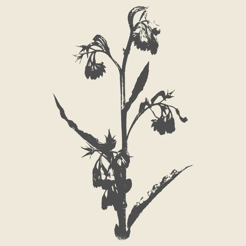 Fleur - Papier découpé - Silhouette DECO