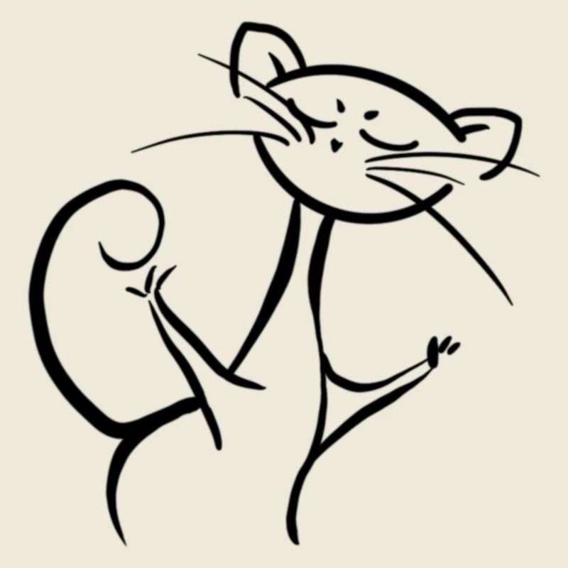 Don‘t mess with the Cat