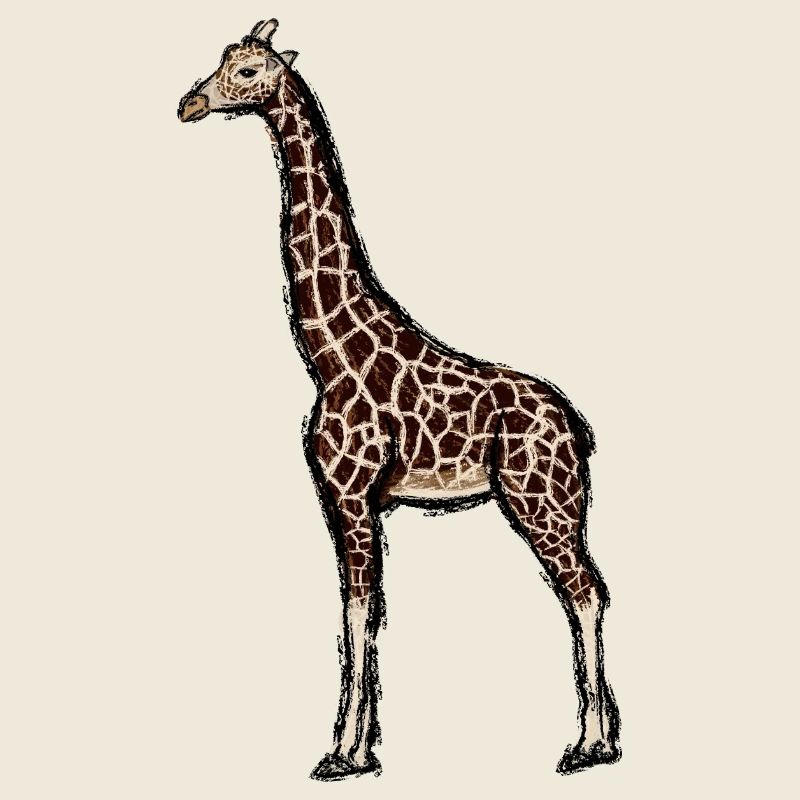 Conception avec une girafe 1