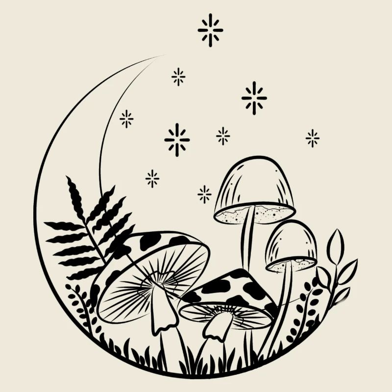 Night Mushrooms