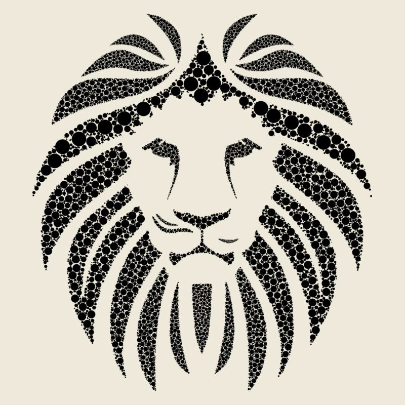 Lion black beautiful