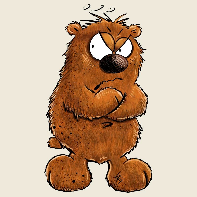 Muffeliger Brauner Bär I Nö Nein Statement