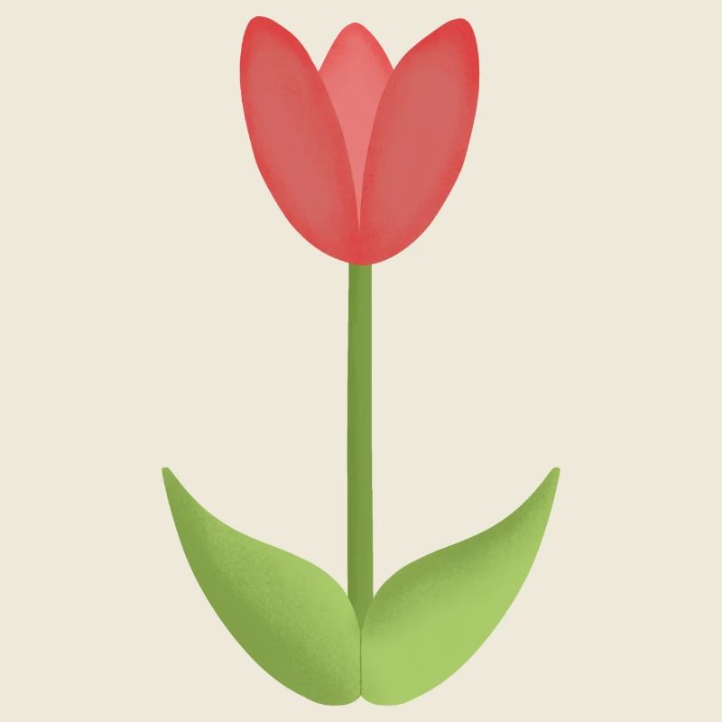 red tulip